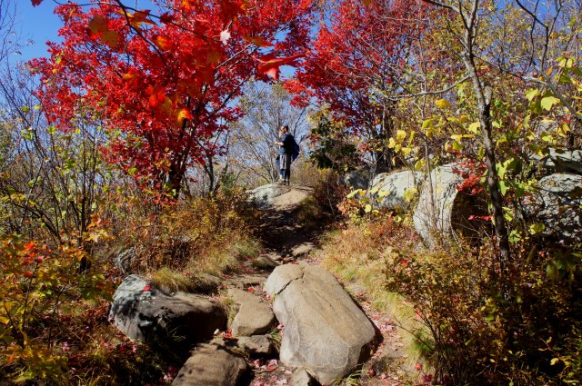 Nearing the Hadley Mountain summit
