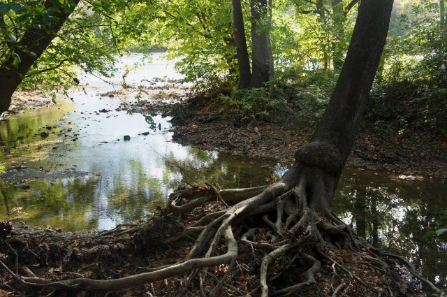 Bluebell Trail, Shenandoah River State Park
