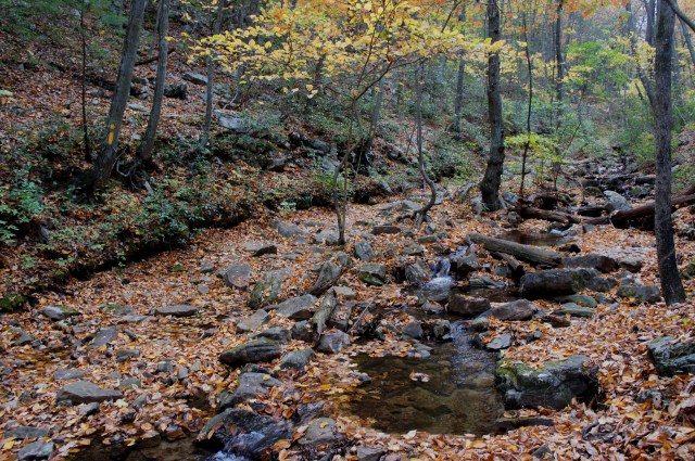 Trail crosses Mill Run