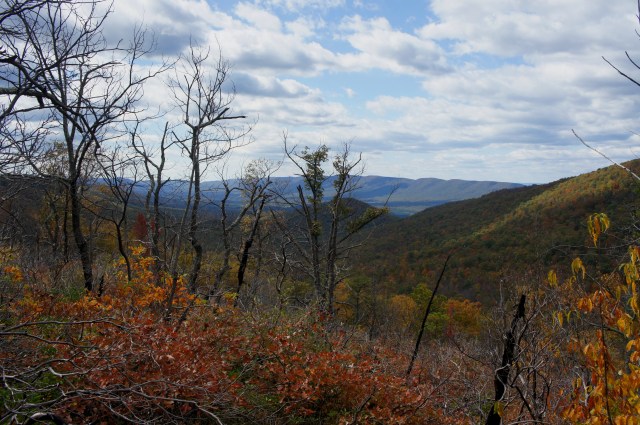 Views of Fort Valley from near the top of the ridge, Veach Gap Trail