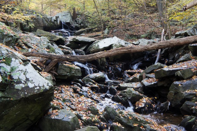 Dead Run, Turkey Run Park, October 2015