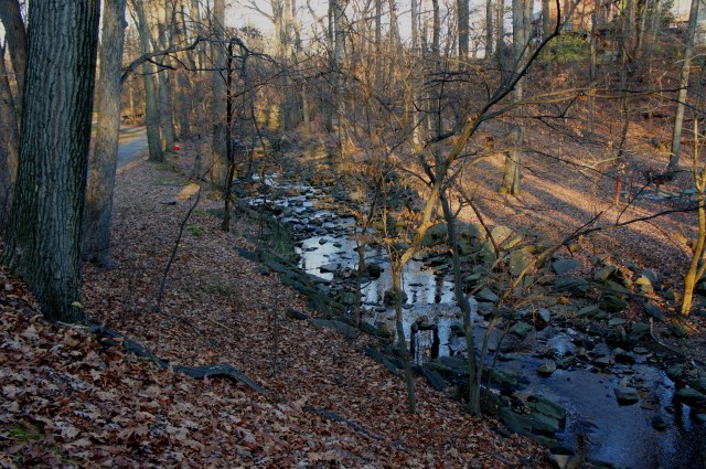 Heritage Loop Trail, Potomac Overlook Regional Park, August 2015