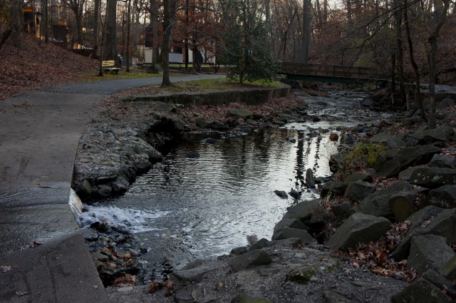 Curious creek crossing on Lubber Run Trail