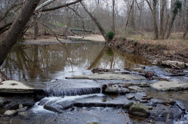 Pimmit Run Trail, McLean, Virginia, January 2016