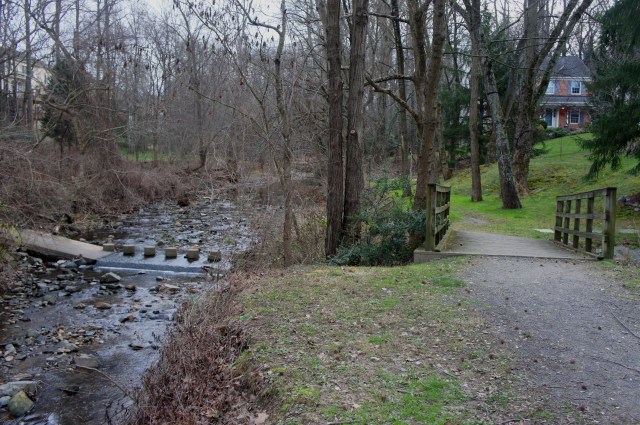 View of Great Falls from overlook #1