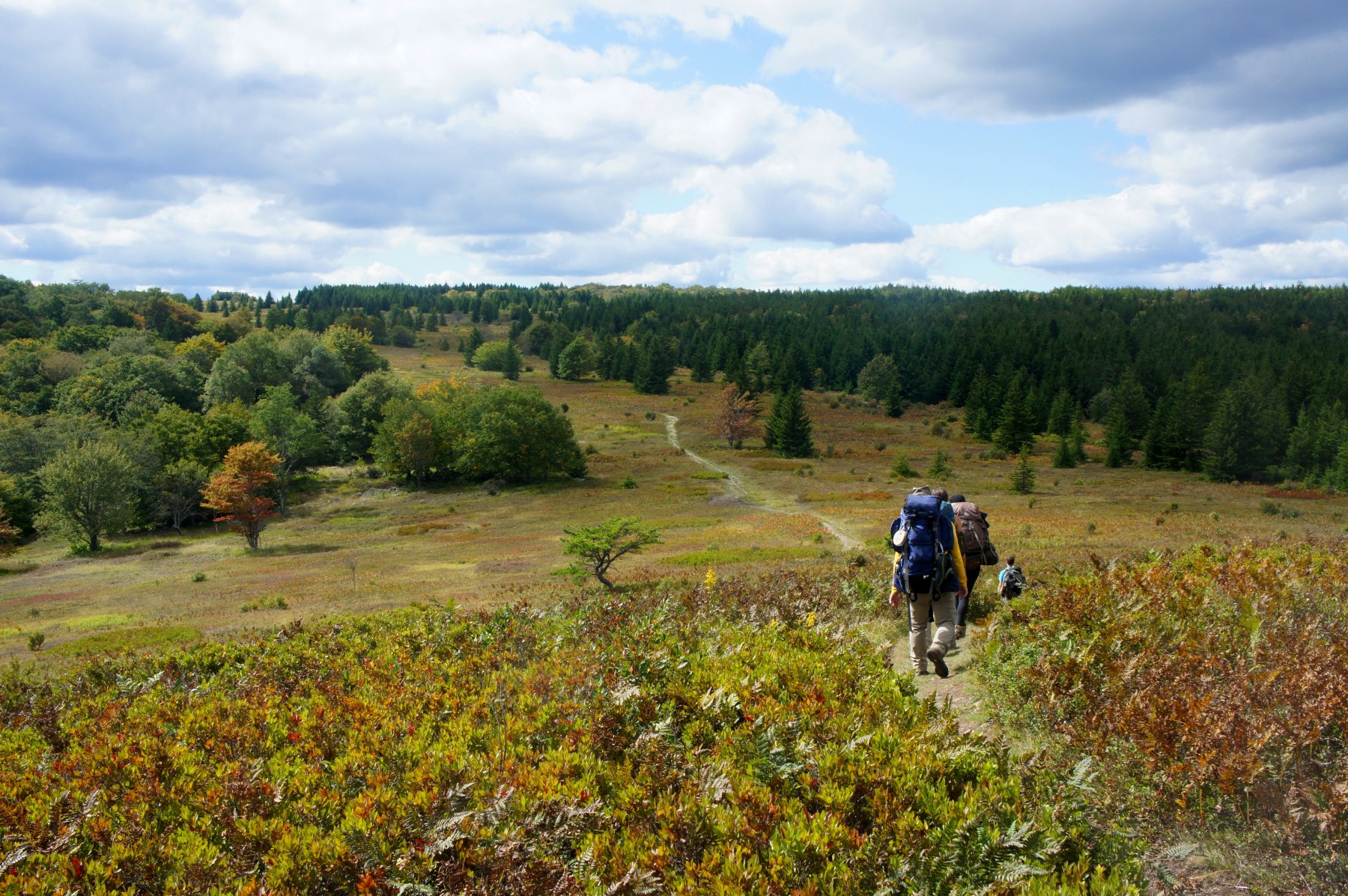 Weather in dolly sods wv