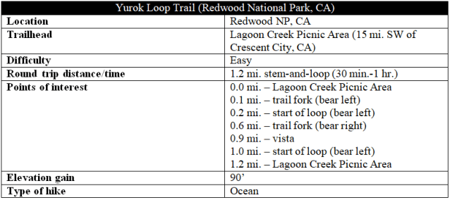 Yurok Loop Trail hike Redwood National Park information