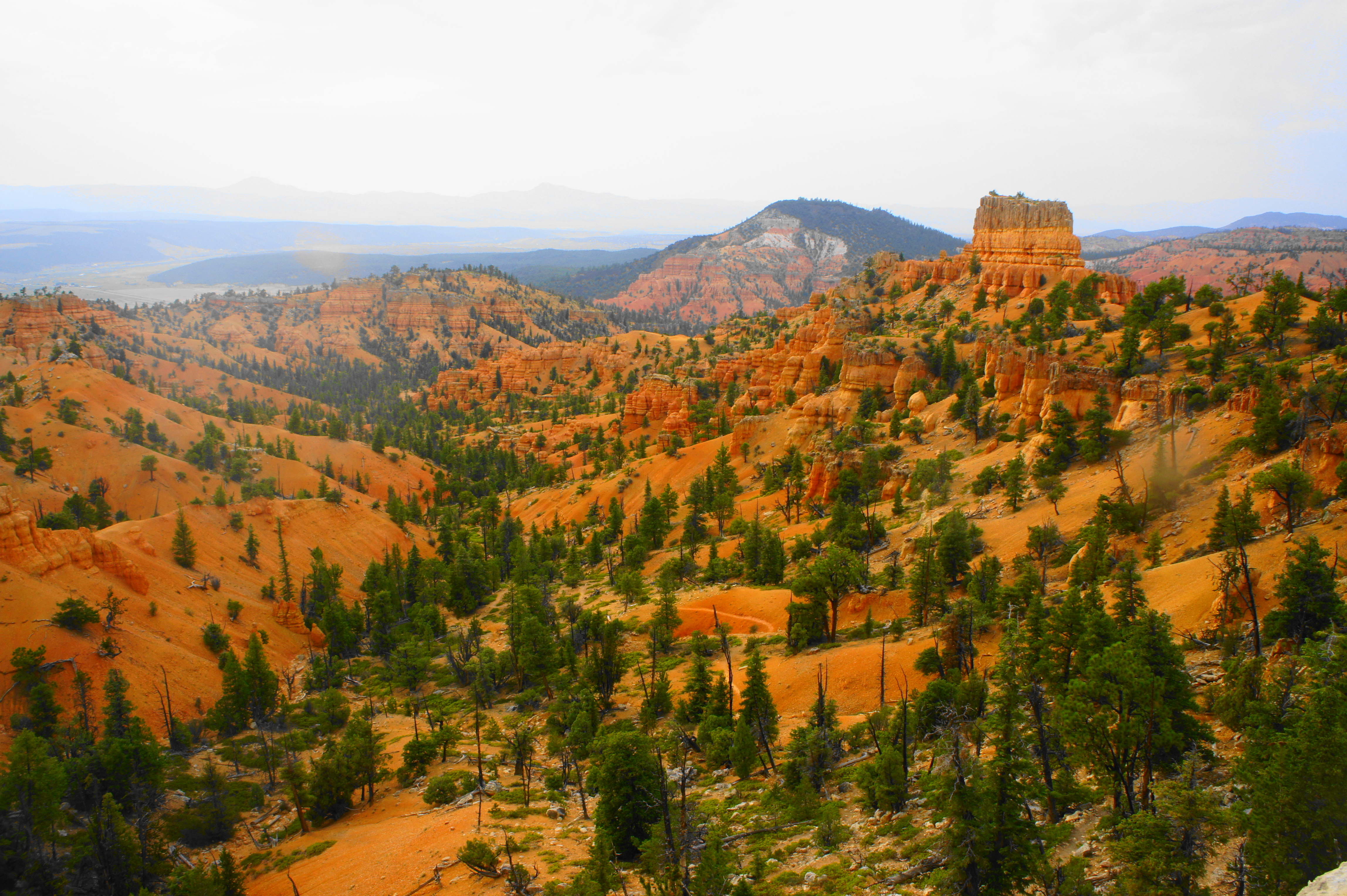 Buckhorn – Golden Wall Trail Loop (Dixie National Forest, UT) – Live ...