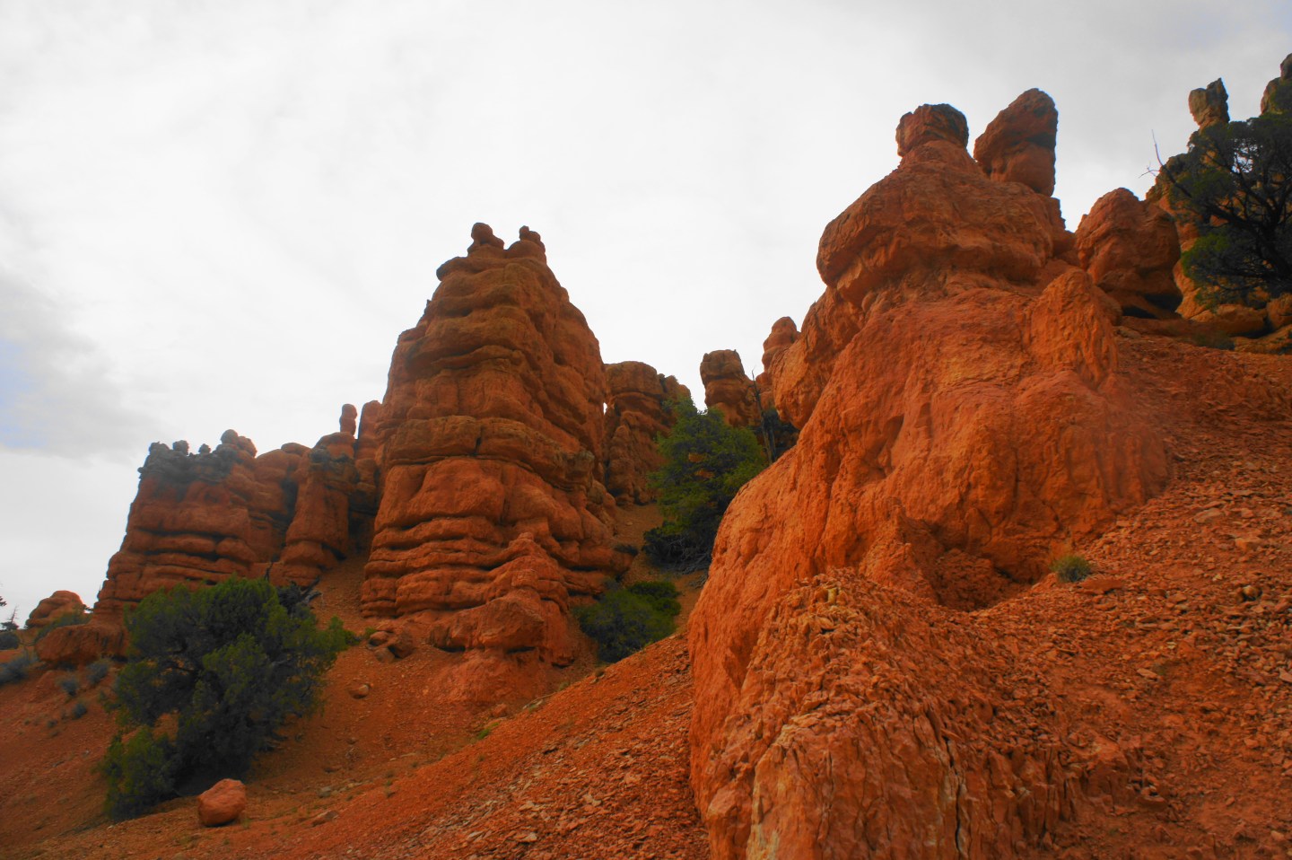 Buckhorn – Golden Wall Trail Loop (Dixie National Forest, UT) – Live ...