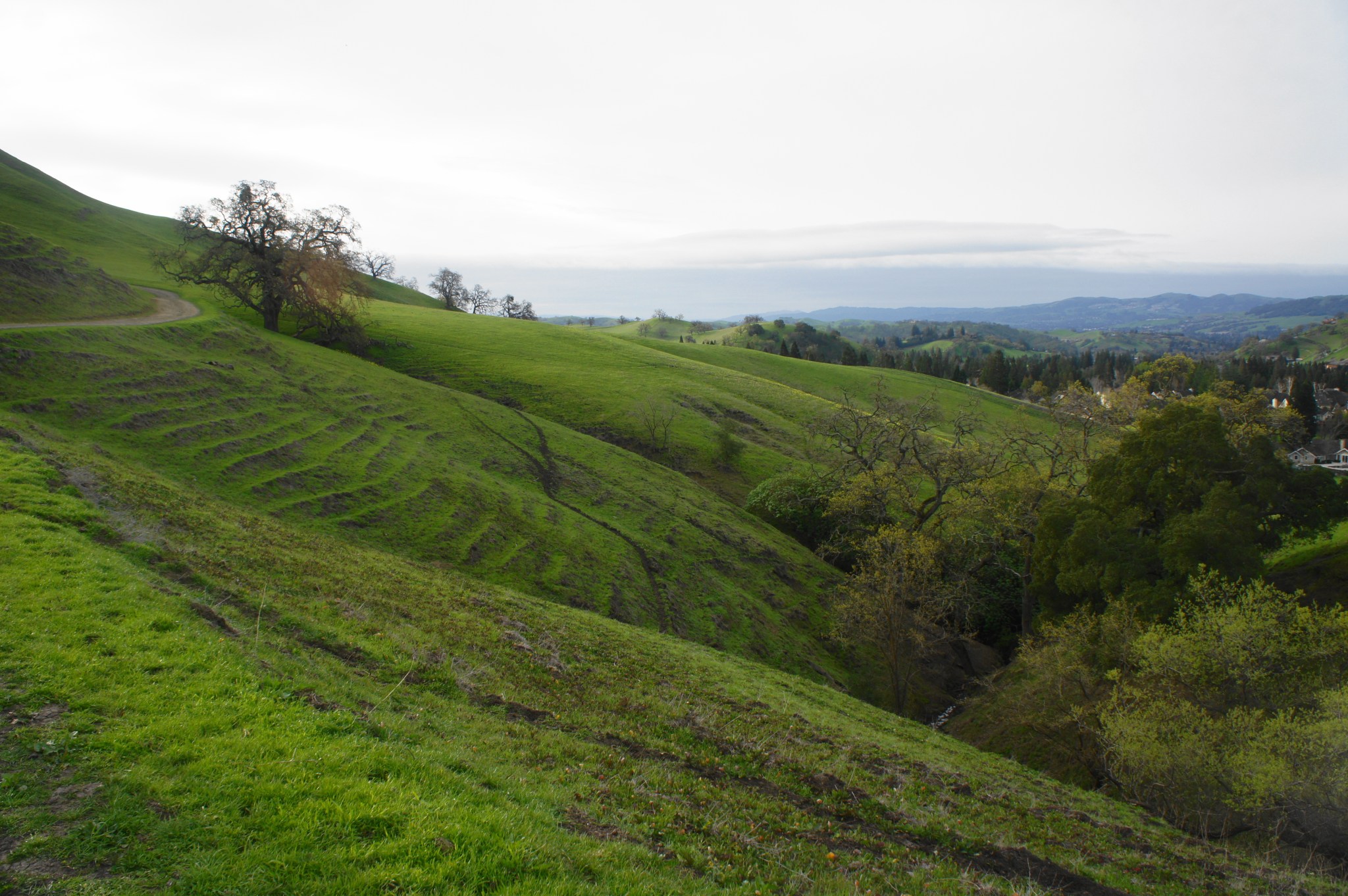 Mount Diablo via Macedo Ranch (Mount Diablo State Park, CA) – Live and ...