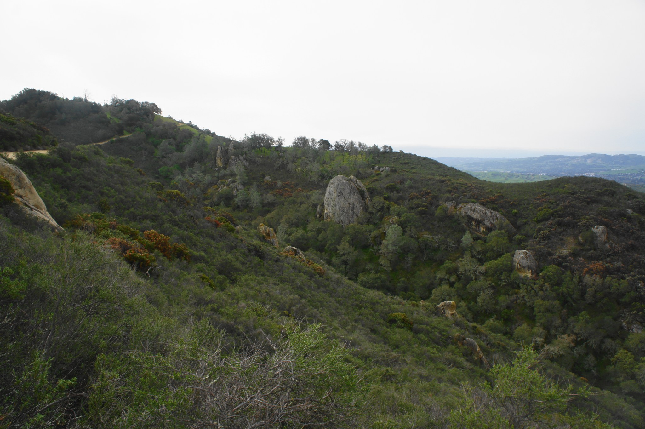Mount Diablo via Macedo Ranch (Mount Diablo State Park, CA) – Live and ...