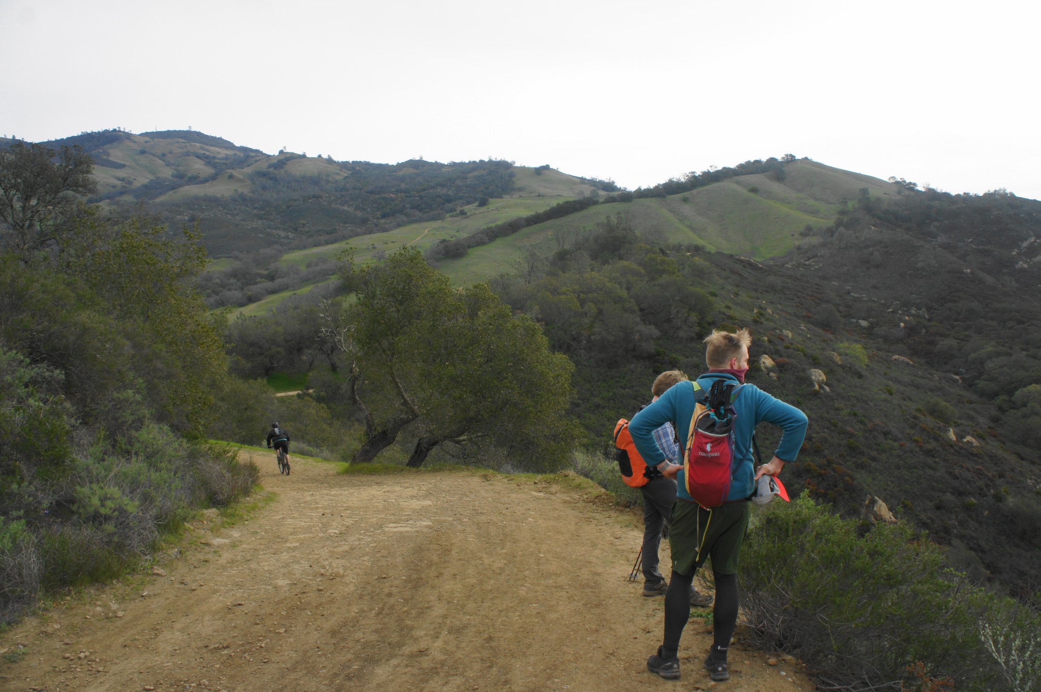 Mount Diablo via Macedo Ranch (Mount Diablo State Park, CA) – Live and ...