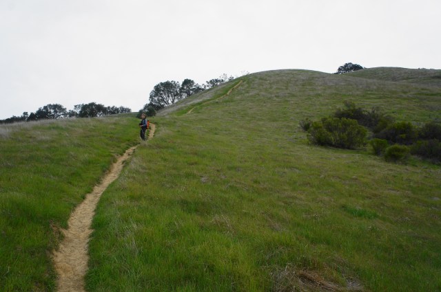 Mount Diablo via Macedo Ranch (Mount Diablo State Park, CA) – Live and ...