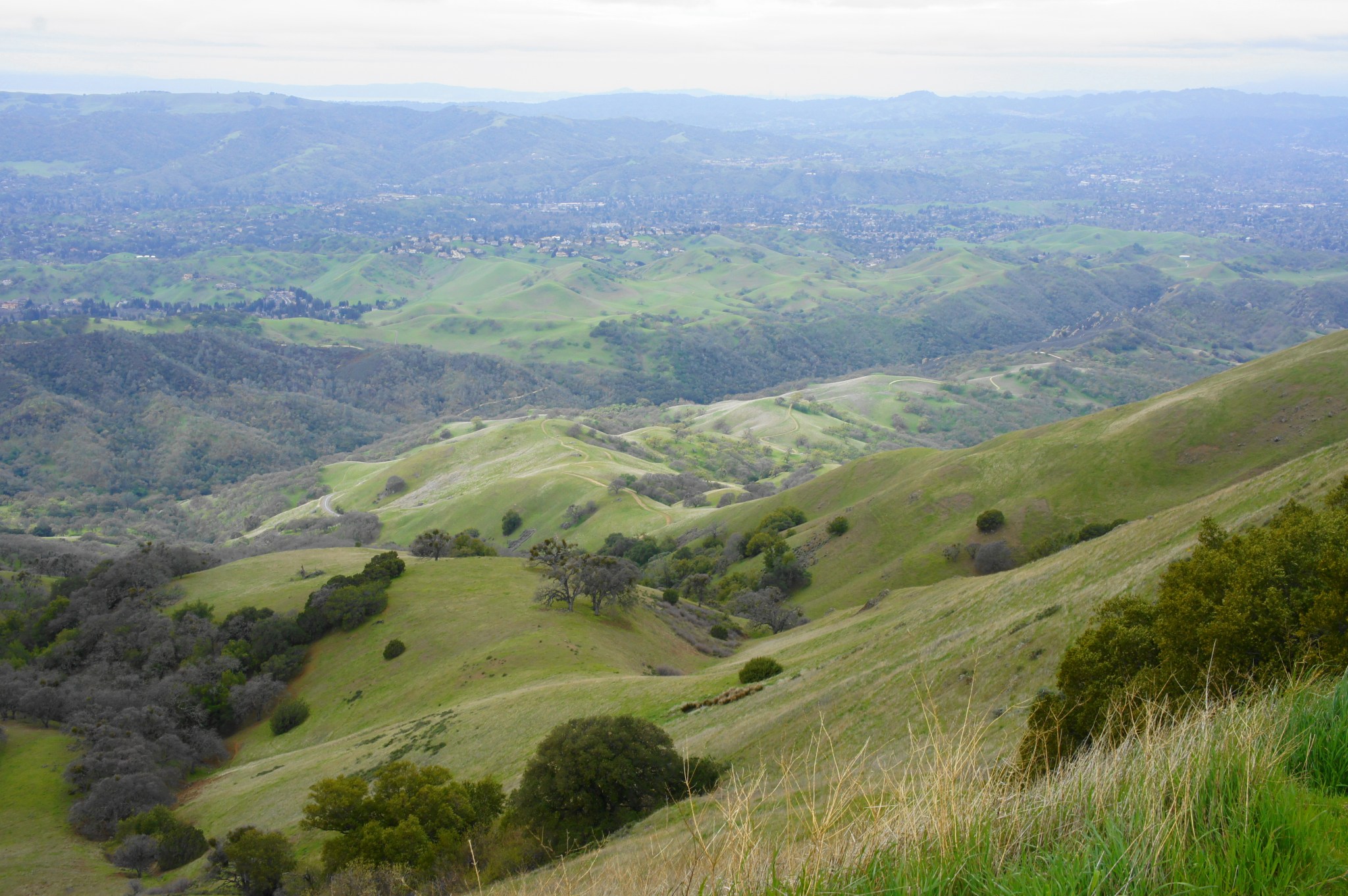 Mount Diablo via Macedo Ranch (Mount Diablo State Park, CA) – Live and ...