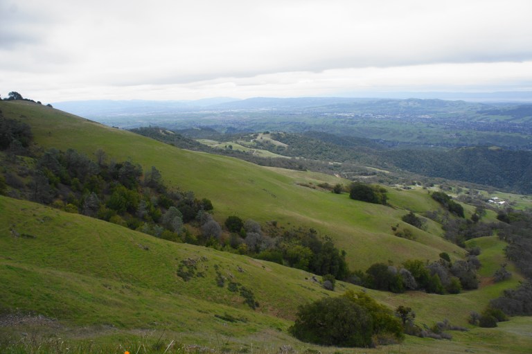 Mount Diablo via Macedo Ranch (Mount Diablo State Park, CA) – Live and ...