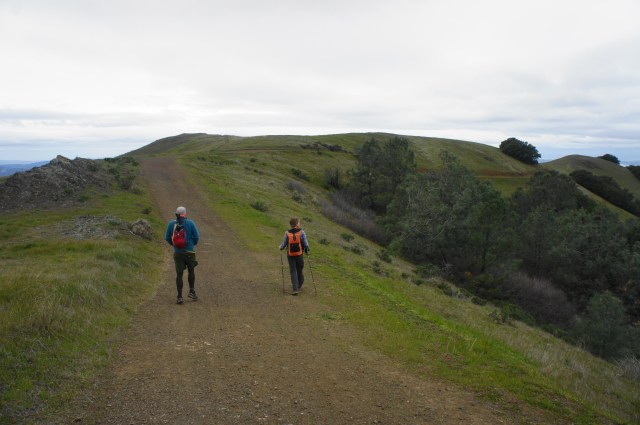 Mount Diablo via Macedo Ranch (Mount Diablo State Park, CA) – Live and ...