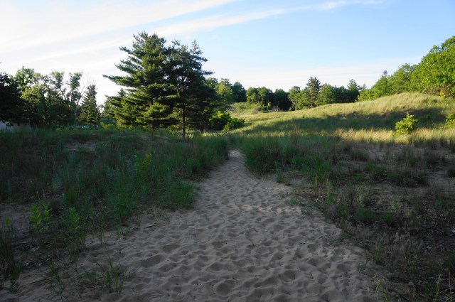Indiana Ridge Dune Ridge Trail (Indiana Dunes National Park, IN) – Live and Let Hike