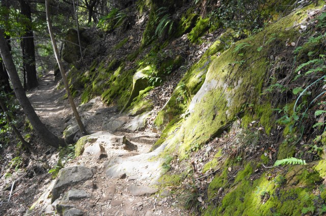 Saratoga Gap – Ridge Trail Loop, including Castle Rock Falls (Castle ...
