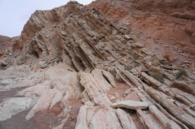 Uplifted Rocks Anniversary Narrows (Lake Mead National Recreation Area, NV) – Live and ...