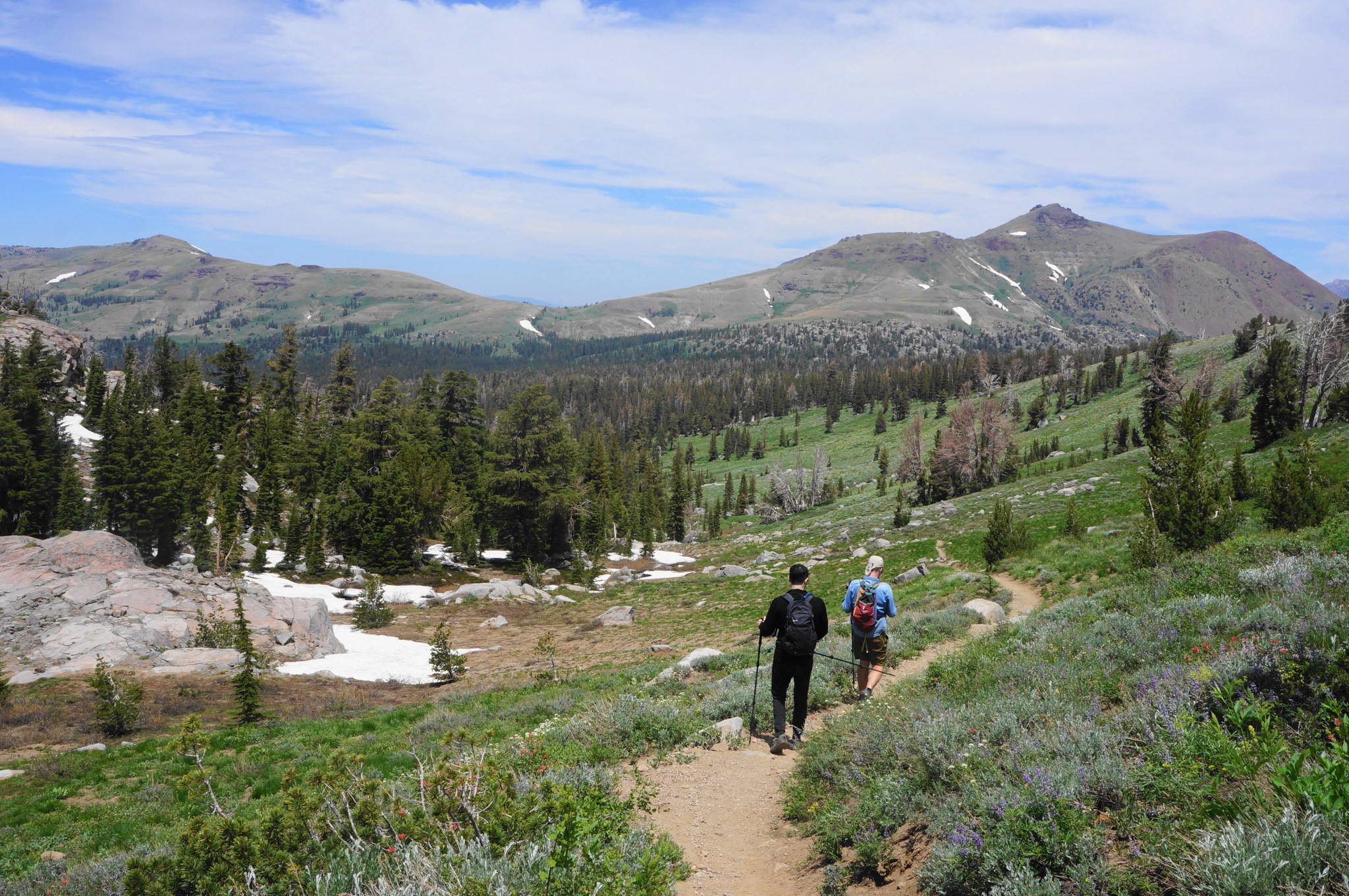 Winnetka Ravines Round Top – Winnemucca Lake Loop (Mokelumne Wilderness, CA) – Live and ...