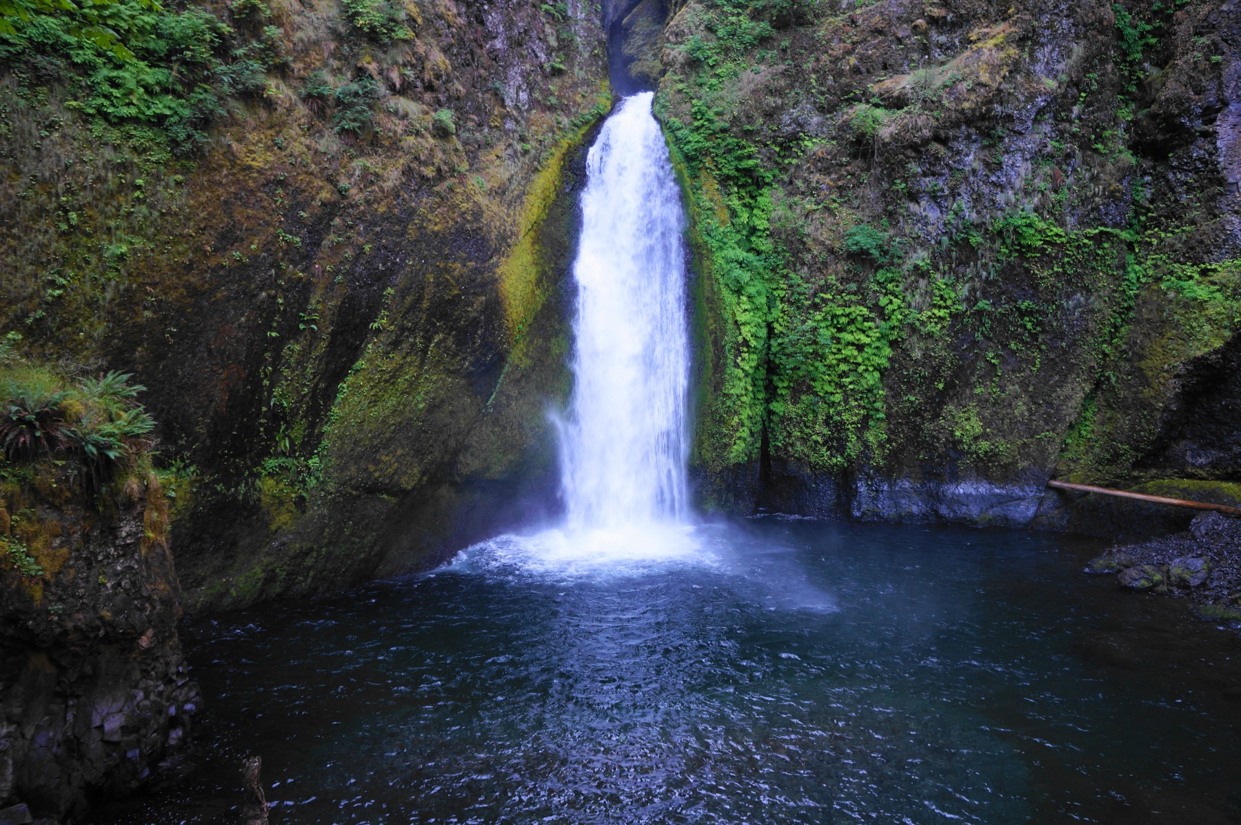 wahclella-falls-columbia-river-gorge-national-scenic-area-or-live